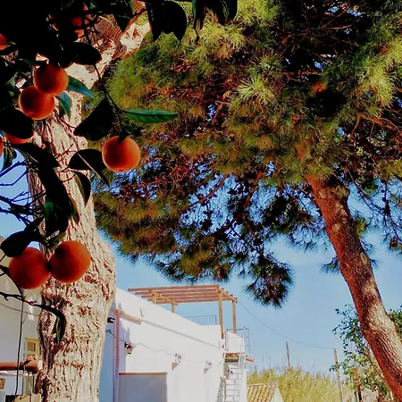 Aiolia Al Mare Patti